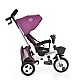 Tricycle Flexy Lux purple