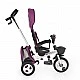 Tricycle Flexy Lux purple