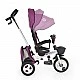 Tricycle Flexy Lux purple