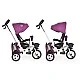 Tricycle Flexy Lux purple