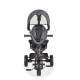 Childrens tricycle Pluto gray