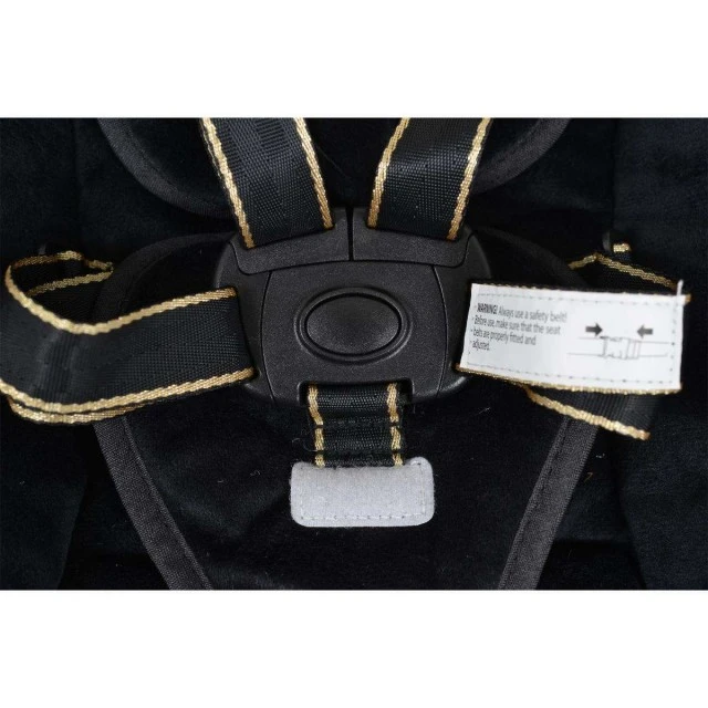 Electric swing Clarissa black
