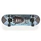 Scateboard 28“ Lion