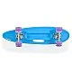 Scateboard 26“ with handle violet