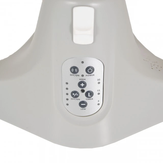 Electric swing Ari bear beige