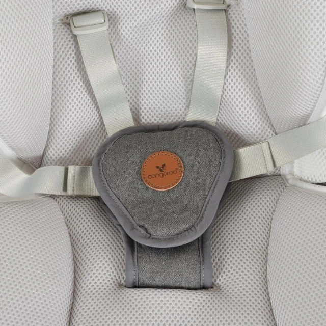 Electric swing Triumph gray