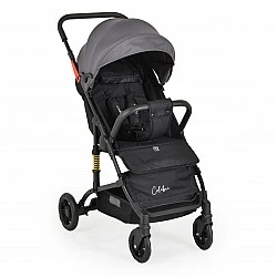 Children’s summer stroller Colibri gray