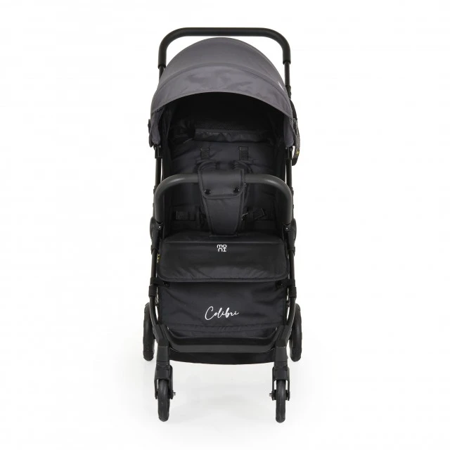 Children’s summer stroller Colibri gray