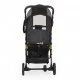 Children's summer stroller Colibri gray