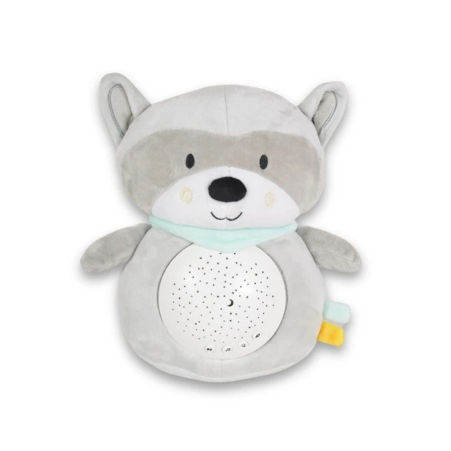 Snuggly Raccoon night lamp and spotlight