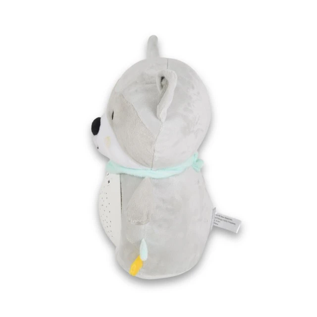 Snuggly Raccoon night lamp and spotlight