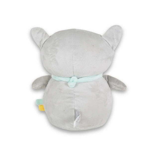 Snuggly Raccoon night lamp and spotlight