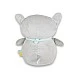 Night light and projector Snuggly Raccoon