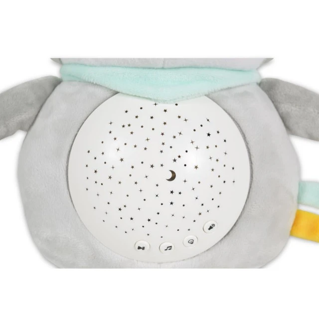 Snuggly Raccoon night lamp and spotlight