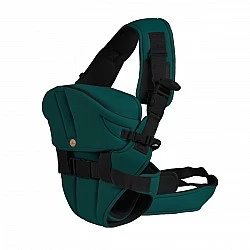 Carrier Carry go green