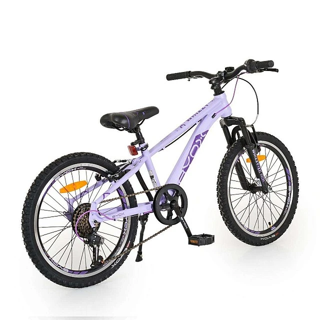 Bicycle 20 Whizzy purple
