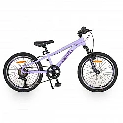 Bicycle 20" Whizzy purple