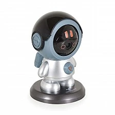 Camera Wi-Fi West gray
