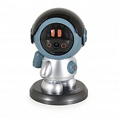 Camera Wi-Fi West gray