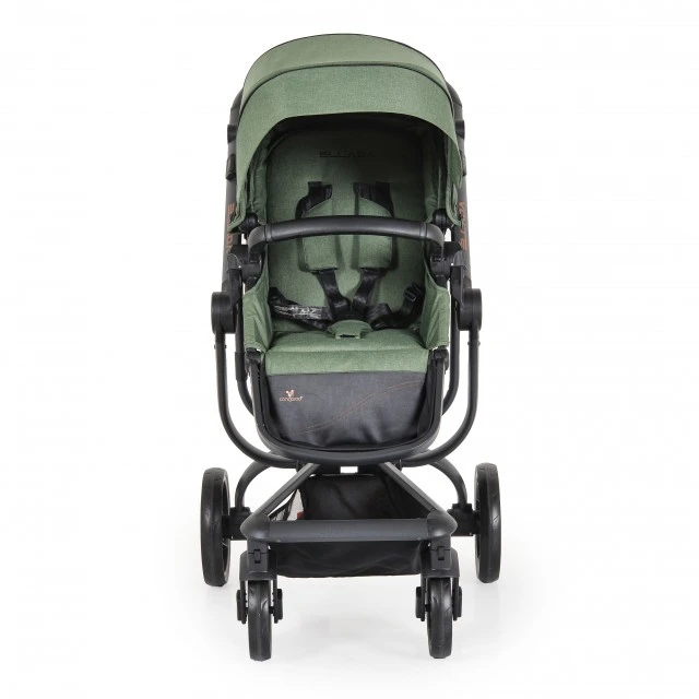 Combined stroller 2 in 1 Ellada green