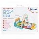 Active gymnastics Piano play gym CC88606