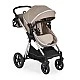 Alina Seed-Pearl combination stroller