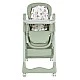 Dining chair with gift Surprise green
