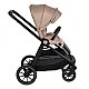 Celebrity Crepe-beige 2 in 1 combined stroller