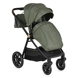 Celebrity 2 in 1 stroller Deep-green