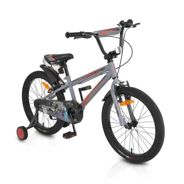 Children's bicycle 20 Master gray