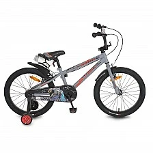 Children's bicycle 20 Master gray
