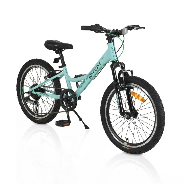 Bicycle 20 Princess mint