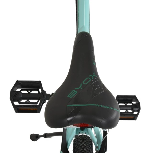 Bicycle 20 Princess mint