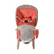 Ollie plush swing