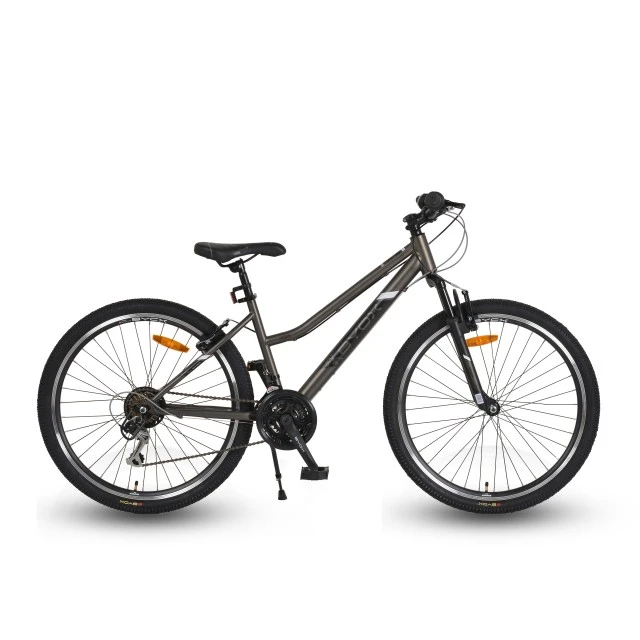 Bicycle 26 Urban gray