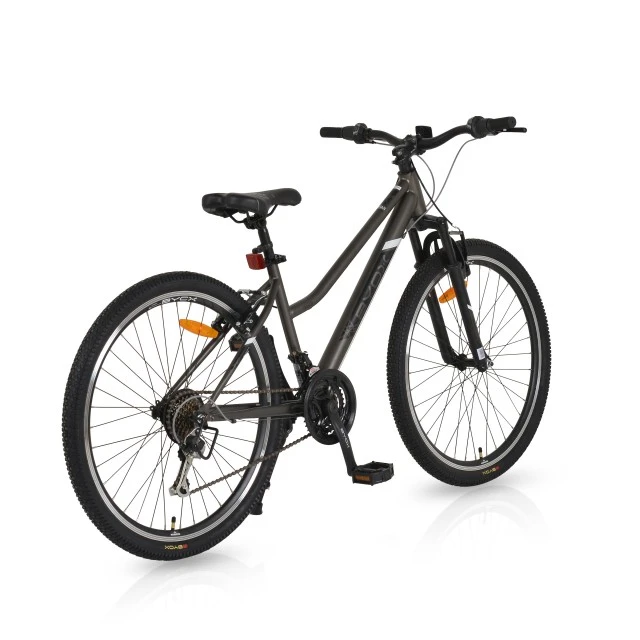 Bicycle 26 Urban gray