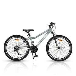 Bicycle 26" Avenue gray