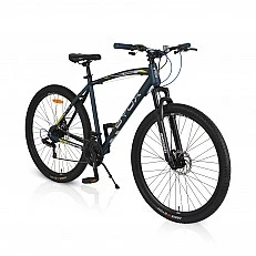 Bicycle alloy 29" B2020