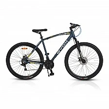 Bicycle alloy 29" B2020