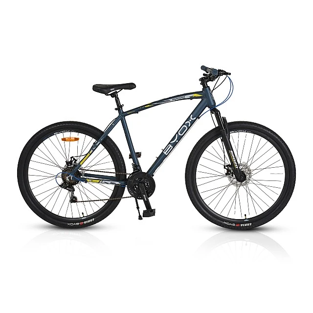 Bicycle alloy 29" B2020