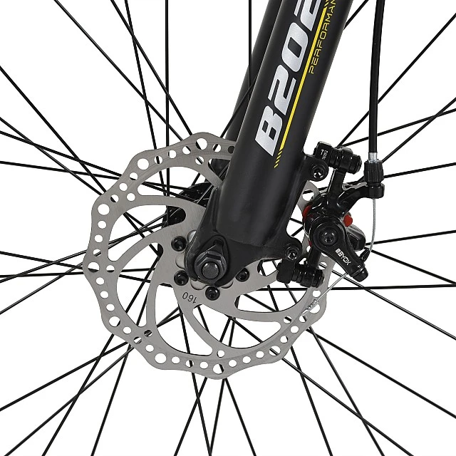 Bicycle alloy 29" B2020