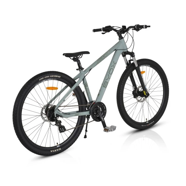 Bicycle alloy hdb 29“ Epoch