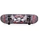 Skateboard 3006 F443 gray