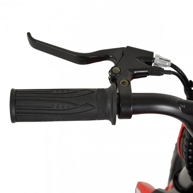 Honda CRF450 battery motorbike red