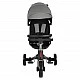 Flexton tricycle gray