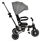 Flexton tricycle gray