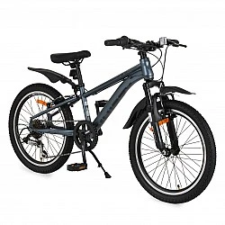 20" Whizzy grey speed bike
