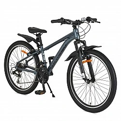 24" Whizzy grey speed bike