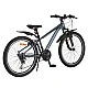 24" Whizzy grey speed bike