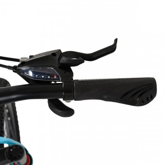 20" Taycan-S blue speed bike